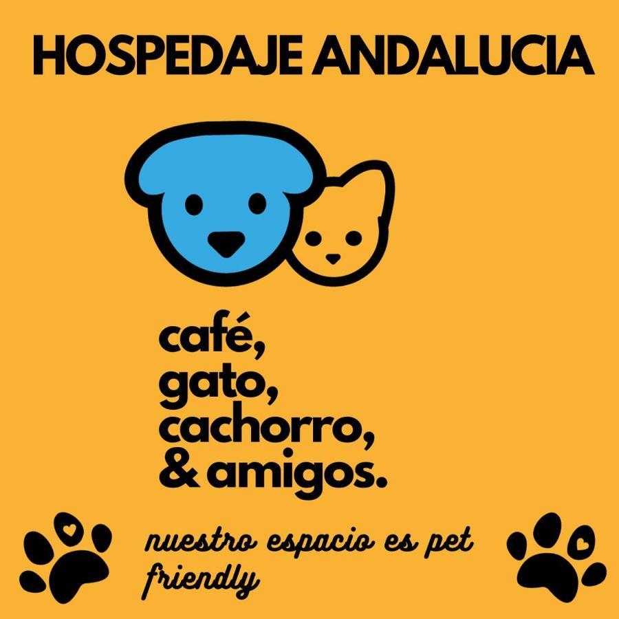 Casa Andalucia Hostel - Florianopolis — Fotos 3